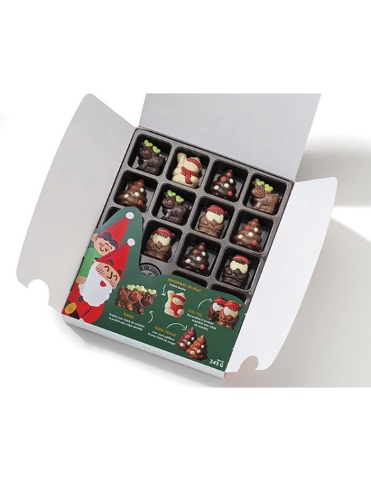 BOITE SUJETS DE NOEL 245 G