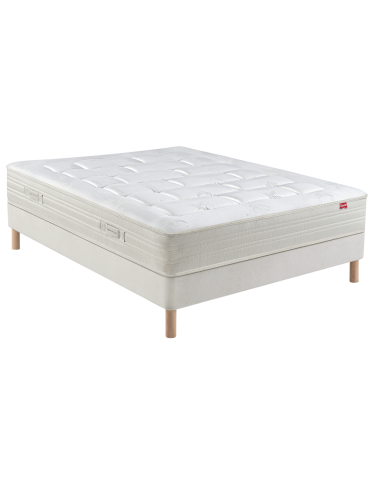 EPEDA ENSEMBLE GADASU