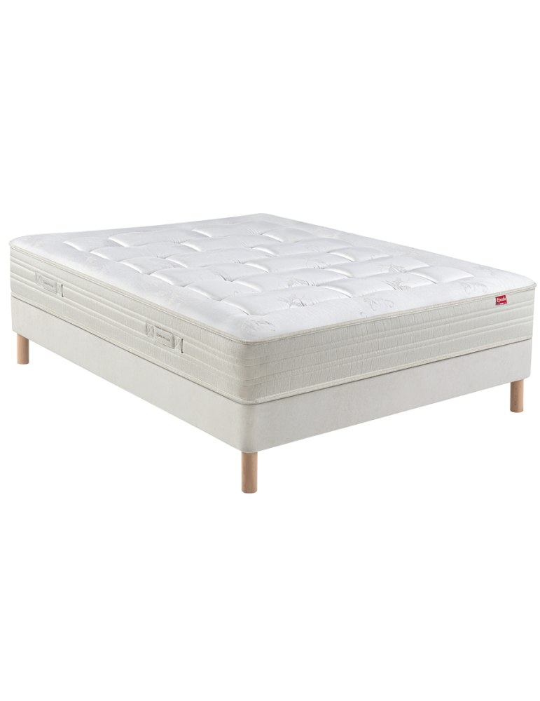 EPEDA ENSEMBLE GADASU